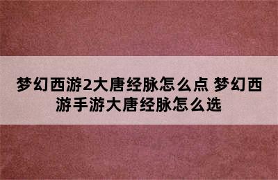 梦幻西游2大唐经脉怎么点 梦幻西游手游大唐经脉怎么选